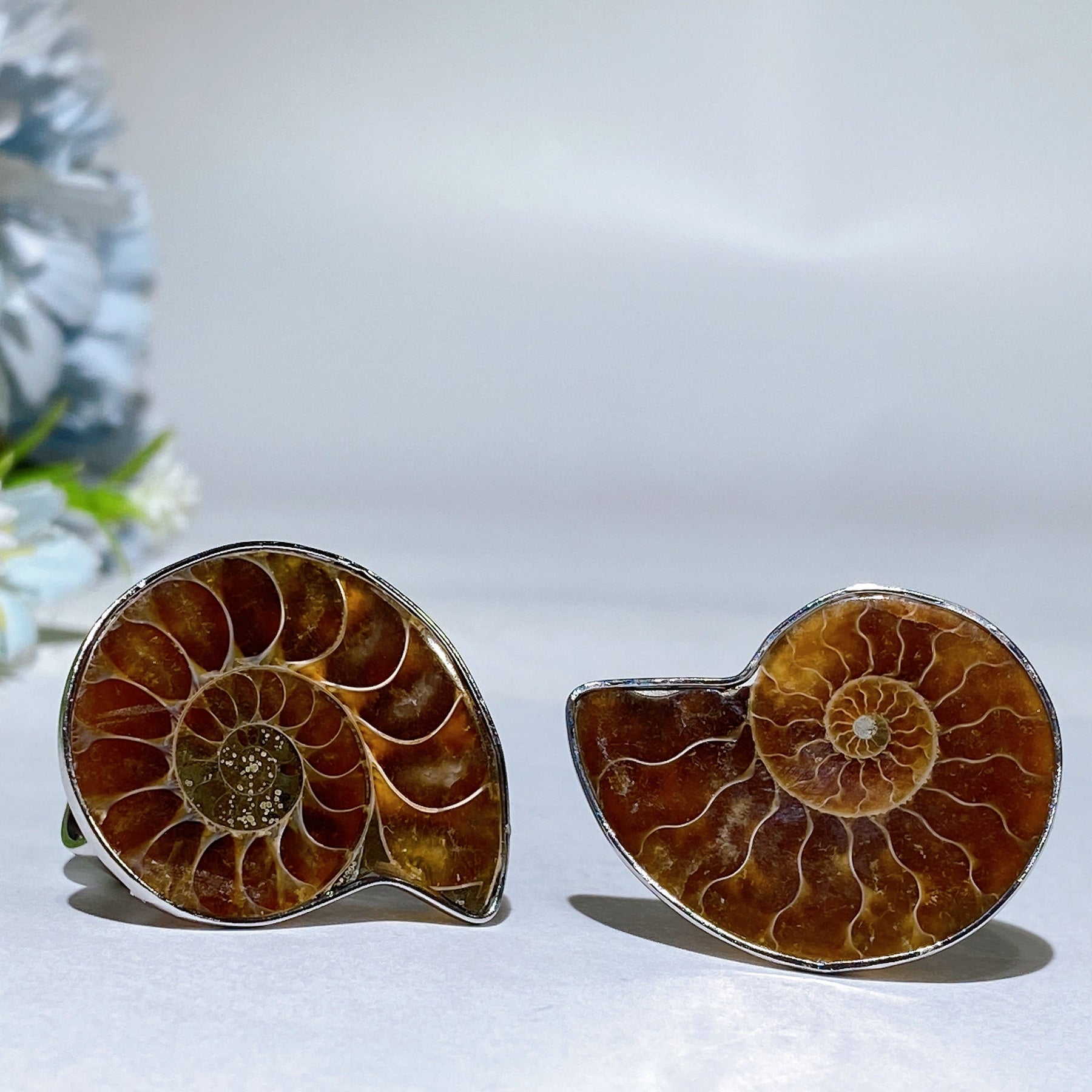 Adjustable Ammonite Ring