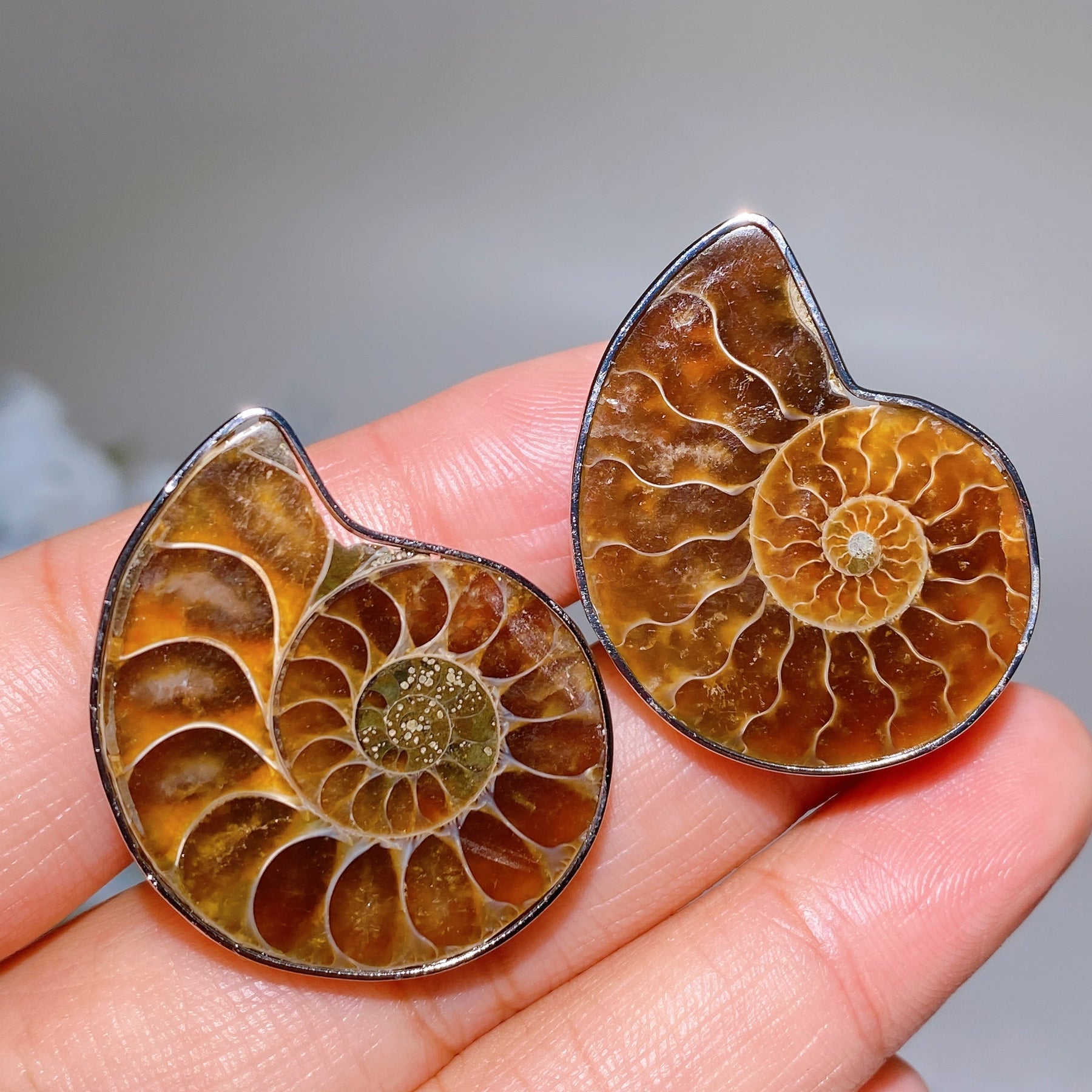 Adjustable Ammonite Ring