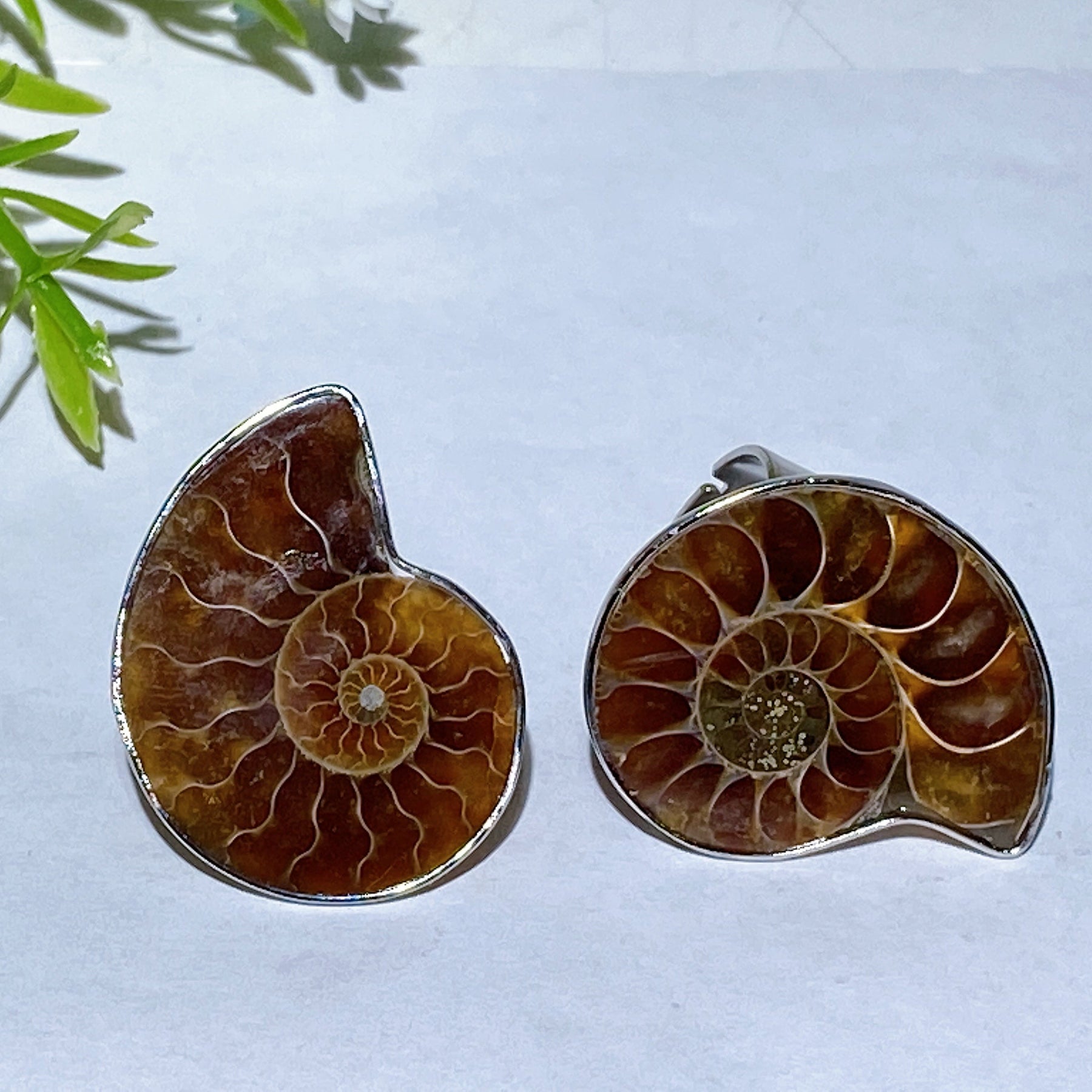 Adjustable Ammonite Ring