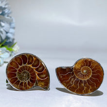 Adjustable Ammonite Ring