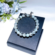 8mm Alloy Dachshund Crystal Bracelet